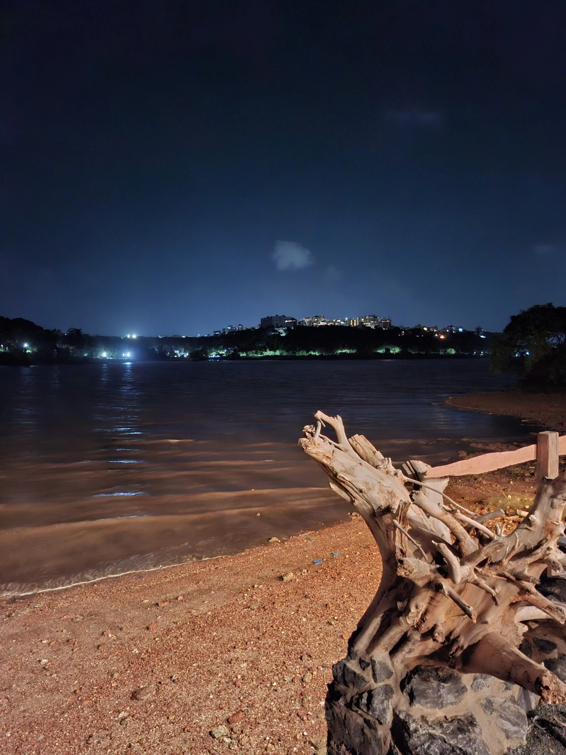 Bridge N Tunnel — 05 night driftwood