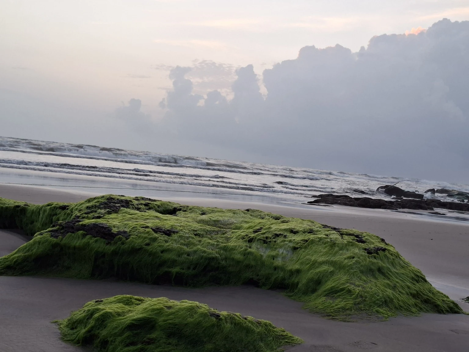 Morjim Beach — 04 green rocks